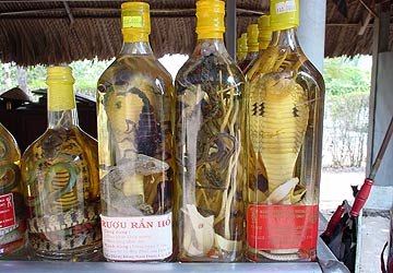 東南アジア―スネークワイン