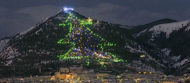 ●【画像】世界最大サイズのクリスマスツリー