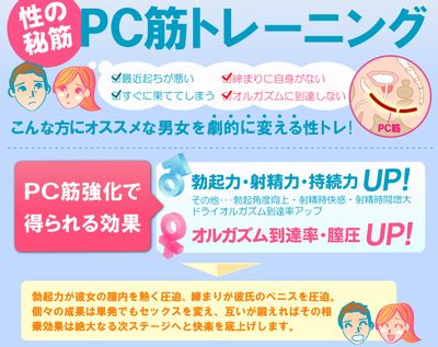 PC筋