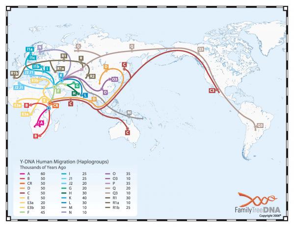 Y-DNA-Migration-Map-FTDNA-2006.jpg